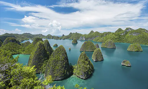 Kisruh Tambang Nikel di Raja Ampat: Bagaimana Langkah Pemerintah?