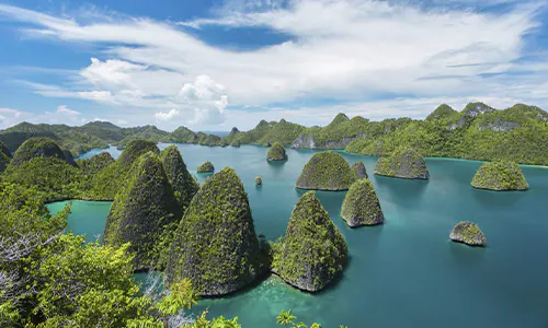 Tambang Nikel di Raja Ampat: Antara Legalitas Kontrak Lama vs Ancaman Ekologis