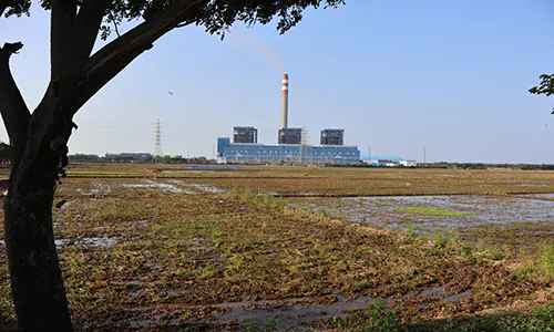 Praktik Culas Pemasok Biomassa di PLTU Indramayu