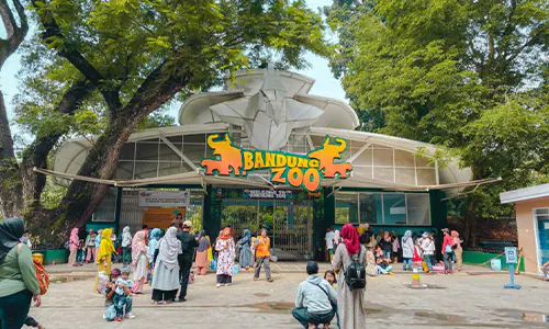 Konflik Internal Pengelola Bandung Zoo Berujung Bentrok Fisik dan Ancaman pada Satwa